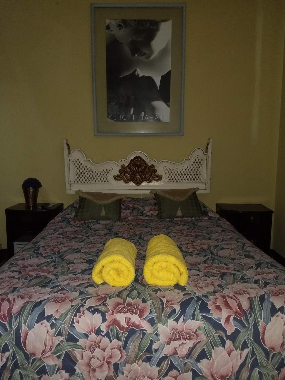 Give House Bed & Breakfast Guatemala City Eksteriør bilde
